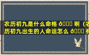 农历初九是什么命格 🐝 啊（农历初九出生的人命运怎么 🍁 样）